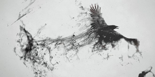 کلاغ سیاه ، نمادی از اخبار جعلی