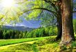 طبیعت زیبای اردیبهشت در دکلمه از حرکت صدای دوست در کافه کتاب