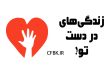 خلاصه کتاب زندگی های در دست تو thelifeyoucansave منتشر شده توسط کافه کتاب